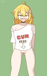 blonde_hair bottomless choker floral_foxingdale flower_in_hair green_eyes imxr24 ms_paint original_character smug text_on_clothing uncensored