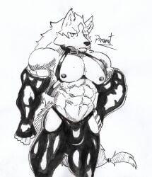 abs anthro barazoku biceps brand_new_animal bulge canid canine canis clothed clothing collar fur hi_res latex latex_clothing male male_focus male_only mammal muscular muscular_anthro muscular_male nipples partially_clothed pecs pinumontbalou shirou_ogami solo studio_trigger tail underwear wolf