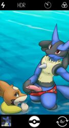 1boy 2019 absurd_res ambiguous_gender animal_genitalia animal_penis beach black_fur blue_fur bodily_fluids camera camera_view canine canine_penis clothing digital_media_(artwork) floatzel fur hi_res hud knot lucario male mammal multicolored_fur nintendo nude otter penis pokemon pokemon_(species) pokemon_dppt presenting presenting_penis public red_eyes seaside selfie smile speedo sweat sweatdrop swimwear two_tone_fur video_games vswitch water worried yellow_fur