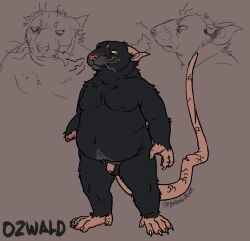 2024 amputee anthro baronboar belly black_body black_fur disability fur male mammal moobs murid murine overweight overweight_male rat rodent simple_background solo