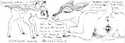 2005 anus asthexiancal bambi's_mother bambi_(character) bambi_(film) disney feral feral_unbirthing_feral monochrome pussy sketch thumper unbirthing vore what