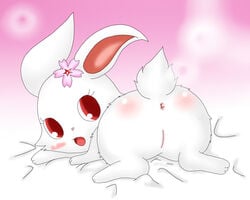 1girls anus ass back_view blush color female female_only feral flower from_behind fur furry_ears furry_tail jewelpet jewelpet_(species) lagomorph long_ears looking_at_viewer looking_back makuran nude open_mouth pussy rabbit raised_tail red_eyes ruby_(jewelpet) simple_background solo tail vulva white_fur