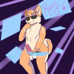 1:1 animal_genitalia anthro balls canid canine canis domestic_dog erection eyewear hi_res knot lewdcuzzi male male_only mammal penis rags_(youtuber) shiba_inu solo spitz sunglasses