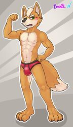 1boy bashbl-ux briefs canid canine clothing fox fox_mccloud hi_res male male_only mammal nintendo red_underwear solo star_fox underwear video_games