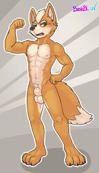 bashbl-ux canid canine clothing fox fox_mccloud hi_res male male_only mammal nintendo nude star_fox video_games