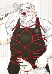 2019 anthro apron balls belly blush bound censored clothing cute_fangs erection fur hi_res humanoid_hands humanoid_penis male male_only mammal penis polar_bear rope rope_bondage rope_harness ryuta-h shirt slightly_chubby solo topwear ursid ursine white_fur