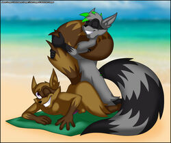 2019 anal anthro balls beach big_tail character_request duo fur green_hair hair male male/male male_only mammal multicolored_fur on_blanket one_eye_closed penetration penis procyonid purple_eyes purple_penis raccoon ringtail seaside sex simple_background sly_cooper_(series) smile smooth_fur sony_corporation sony_interactive_entertainment sucker_punch_productions tattoo towel verona7881 video_games wink