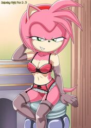 1girls amy_rose bra female female_only gloves green_eyes half-closed_eyes leggings lingerie long_sleeves long_socks looking_at_viewer mobius_unleashed palcomix panties pink_fur pink_hair seductive seductive_look seductive_smile short_skirt sonic_(series)