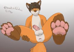 absurd_res anthro anus balls canid canine foot_focus fox fur grey_background hi_res humanoid_penis looking_at_viewer male male_foot_fetish male_only mammal orange_fur paws penis presenting presenting_anus red_fox signature simple_background solo spread_legs spreading steven_(villalobossand1) villalobossand1