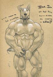 abs anthro balls better_version_at_source biceps bodily_fluids bull_terrier canid canine canis collar domestic_dog erection genital_fluids hi_res hunting_dog invalid_tag julius knot male male_only mammal muscular muscular_male obliques pecs penis precum serratus_anterior solo terrier triceps tush vein