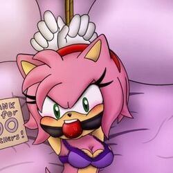 1girls amy_rose blush breasts choker cropped cropped_image darkman-zero female female_only green_eyes pink_fur pink_hair sonic_(series) tied tied_up