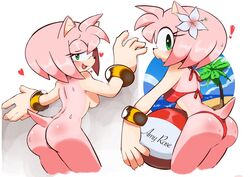 1girls amy_rose anthro ass beach_ball bent_over bikini bra bracelet breasts female female_only flower flower_in_hair furry green_eyes hedgehog nude panties pink_fur sega solo sonic_(series) sweat swimsuit vemm00