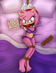 1girls amy_rose anthro arms_up ball_gag bed blush bondage bound bound_ankles bound_legs bound_wrists bra breasts choker cleavage darkman-zero deviantart english_text female female_only furaffinity gag gagged green_eyes inkbunny laying laying_down laying_on_bed lingerie looking_at_viewer navel on_back panties pink_fur pink_hair png red_ball_gag rope rope_bondage solo_focus sonic_(series) tail text tied tied_up