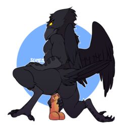 andromorph anthro anus ass avian bird cuntboy dildo feathered_wings feathers intersex looking_back masturbation nude penetration pussy seamen sex_toy solo vaginal_penetration wings