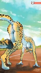 2019 all_fours anthro ass breasts cheetah detailed_background felid feline female fur hi_res kiaun mammal nipples nude pussy signature solo spots spotted_fur url