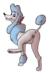 anatomically_correct anus canine disney dog domestic_dog female feral feral_only georgette mammal marjani multi_nipple nipples oliver_and_company poodle presenting pussy raised_tail