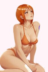 female female_only heyy_vivii nami nami_(one_piece) one_piece pre-timeskip