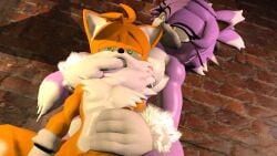 3d 3d_(artwork) bite blaze_the_cat blaze_the_werecat finger_in_mouth green_eyes handjob hug rolling_eyes sonic_(series) tails_the_fox