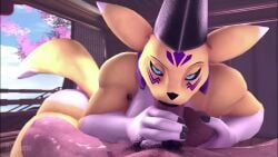 1boy 1boy1girl 1girls 3d animated anthro bandai_namco big_ass big_balls blowjob digimon digimon_(species) digimon_tamers fellatio female furry grabbing_balls handjob human_on_anthro hyper_penis looking_at_viewer oral oral_sex pov rayhuma tagme tail taomon two-tone_fur video