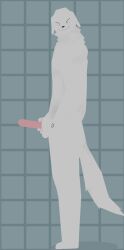 3d_(artwork) anthro borzoi canid canine canis digital_media_(artwork) domestic_dog genitals genral_aditya hi_res humanoid_genitalia hunting_dog looking_at_viewer male mammal mau_makan_apa shower shower_masturbation sighthound solo