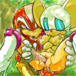 1boy 1girls anal archie_comics breasts dildo double_penetration locke_the_echidna manaita rouge_the_bat sonic_(series) straight_hair sweat tan_skin vaginal_penetration