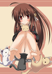 barefoot between_legs blush brown_eyes brown_hair cat_between_legs cats feet feline highres knees_touching little_busters little_busters! long_hair natsume_rin rin_natsume shinya_natsuki soles toe-scrunch toe_scrunch toes