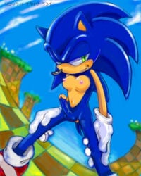 1futa anthro breasts day erection fur furry futa_only futanari genderswap gloves hedgehog intersex mammal manaita nude outdoors penis rule_63 solo solo_futa sonic_(series) sonic_the_hedgehog standing straight_hair tagme