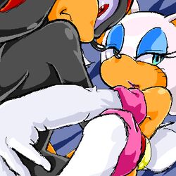 animal animals blue_eyes furry lowres manaita red_eyes rouge_the_bat sex shadow_the_hedgehog sonic_(series) straight_hair