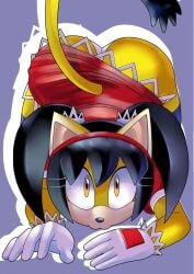 ass bending_over dat_ass dress honey_the_cat panties sonic_(series) sonic_the_hedgehog_(series)