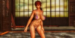 3d areolae belly belly_button big_breasts bikini brown_eyes brown_hair brown_skin busty cybercole360 dead_or_alive dead_or_alive_5 dead_or_alive_5_last_round face_tattoo female female_only games garden hand_on_leg heart_tattoo human human_only kasumi_(doa) knees legs legs_apart navel open_mouth pink_bikini planks ponytail posing render solo solo_female standing_up staning tanned tanned_skin video_games water windows xnalara xps zen_garden