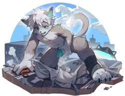 anthro bodily_fluids bottomwear bottomwear_down city clothed clothing domestic_cat embarrassed felid feline felis foreskin genitals glans green_glans grey_body grey_hair hair kemono kneeling macro male mammal nude on_one_knee open_mouth pants pants_down partially_clothed partially_retracted_foreskin penis penis_grab qingbai solo stirrup_footwear sweat