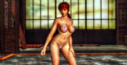 3d areolae belly belly_button bikini brown_eyes brown_hair brown_skin chinese_text cybercole360 dead_or_alive dead_or_alive_5 dead_or_alive_5_last_round eyebrows eyelashes eyeliner eyes eyeshadow female female_only games garden hand_on_leg heart_tattoo human human_only kasumi_(doa) legs legs_apart lips looking_away makeup medium_breasts navel open_mouth pink_bikini planks ponytail posing render solo solo_female standing standing_up tanned tanned_skin video_games water windows xnalara xps zen_garden