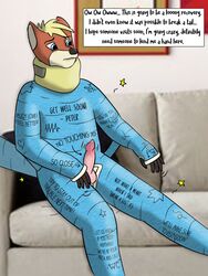 anthro body_cast canid canine cant_fap cast fox hi_res male mammal mathias_(character) neck_brace penis teasing