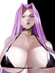 2024 2d 2d_(artwork) 2girls big_breasts black_and_white black_background black_bra bra closed_mouth eyeliner fate/grand_order fate/stay_night fate/zero fate_(series) gorgon_(fate) highres large_breasts light-skinned_female long_hair looking_at_viewer looking_down makeup mature_female medusa_(fate) milf open_mouth purple_eyes purple_hair purple_lipstick seductive servant_(fate) sisters smooth_skin snake_girl two_side_up type-moon very_long_hair voluptuous_female white_background zinfian