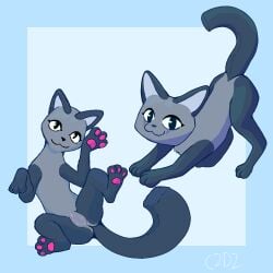 2girls :3 bedroom_eyes bestiality black_eyes c2d2 cat_ears color digital_media_(artwork) feline female female_focus feral grey_fur pet_simulator_99 pet_simulator_x pink_pawpads roblox shaded simple_background tail two_tone_body vagina zoophilia