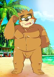 2019 anthro balls belly blush bodily_fluids brown_bear brown_fur bumomomoboa eyewear flaccid fur glasses hi_res humanoid_penis male male_only mammal navel overweight overweight_male penis slightly_chubby small_penis solo sweat tokyo_afterschool_summoners ursid ursine video_games volos