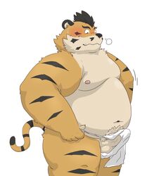 2020 anthro asian_clothing balls belly blush bulge clothing east_asian_clothing erection felid fundoshi genitals hi_res hon55728 japanese_clothing kemono male male_only mammal moobs navel nipples overweight overweight_male pantherine penis simple_background solo tiger underwear white_background