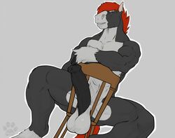 2017 anatomically_correct anatomically_correct_penis animal_genitalia animal_penis anthro balls biceps big_penis biped black_fur black_penis blue_eyes chair colored digital_media_(artwork) equid equine equine_penis erection eyebrows fasttrack37d front_view fur grey_background grey_balls grey_fur hair horse horsecock jodira looking_at_viewer male male_only mammal medial_ring multicolored_fur muscular muscular_male nude penis red_hair red_tail short_hair simple_background sitting solo two_tone_fur white_eyebrows