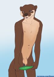 absurd_res anthro brown_eyes brown_fur clothing flaccid foreskin fur hi_res humanoid_penis lutrine male male_only mammal mustelid navel nipples penis shiuk solo speedo swimwear uncut undressing wet wet_fur whiskers white_fur