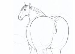 animated anus ass bouncing_butt equid equine female feral horse looking_back mammal nikuyoku puffy_anus pussy simple_background smile solo twerking white_background