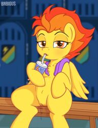 2019 amber_eyes animated bnbigus equid equine female feral friendship_is_magic fur furry hair mammal multicolored_hair my_little_pony orange_hair pterippus pussy solo spitfire_(mlp) towel two_tone_hair wings wonderbolts_(mlp) yellow_fur