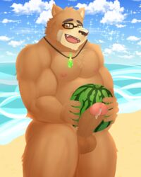 2019 anthro balls beach blush brown_fur cute_fangs edogast erection eyewear food fruit fur glasses humanoid_hands humanoid_penis male male_only mammal melon penis plant seaside slightly_chubby solo tokyo_afterschool_summoners ursid video_games volos water watermelon