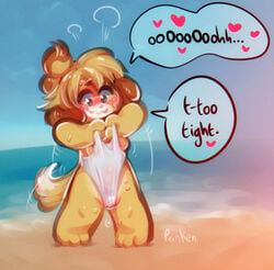 :3 animal_crossing anthro beach blush bodily_fluids breasts cameltoe clothing detailed_background english_text female fur heart isabelle_(animal_crossing) looking_down looking_pleasured naughty_face nintendo nipples panken sea seaside side_boob smile solo speech_bubble standing sweat swimsuit swimwear text video_games water wavy_mouth wedgie yellow_fur