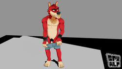 anthro canid canine decker_(go!_go!_hypergrind) facial_piercing go!_go!_hypergrind male male_only mammal nose_piercing nose_ring penis piercing pubes skater solo spxwlf