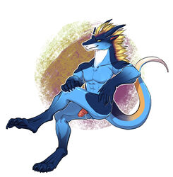 anthro balls dragon male male_only penis rain_dragon ridges scalie sitting solo teryx teryx_commodore