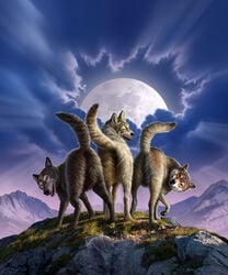 ambiguous_gender anus ass canid canine canis feral grass group jerry_lofaro looking_back mammal moon mountain open_mouth presenting presenting_hindquarters raised_tail sky three_wolf_moon wolf