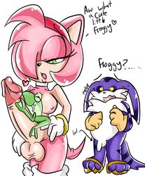 amphibian amy_rose anthro big_penis big_the_cat breasts clothes dickgirl erection footwear frog froggy_(sonic) fur furry furry_only futa_with_male futanari gloves green_eyes heart hedgehog huge_cock intersex male penis perverted_bunny pink_nipples shoes sonic_(series) straight_hair testicles what yellow_eyes zoophilia