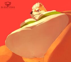 anthro belly big_belly big_breasts blonde_hair bra breasts clothing digital_media_(artwork) hair hi_res looking_at_viewer low-angle_view male male_only mammal moobs navel overweight overweight_male simple_background sleepyras solo superchub thick_thighs underwear