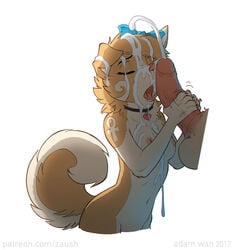 adam_wan anthro bodily_fluids canid canine canis chugging collar cum cum_chugging cum_on_face cum_on_hair cum_on_upper_body domestic_dog duo female female_focus fur genital_fluids invalid_tag male mammal pomeranian rika_(rika) solo_focus spitz straight white_background zaush