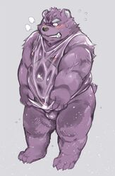 2016 anthro balls belly blush clothing fur humanoid_hands humanoid_penis male male_only mammal moobs navel nekomarudon nipples overweight overweight_male penis purple_fur shirt simple_background solo tanukimaru topwear ursid wet wet_clothing wet_shirt wet_topwear